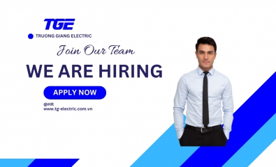 Sales Director