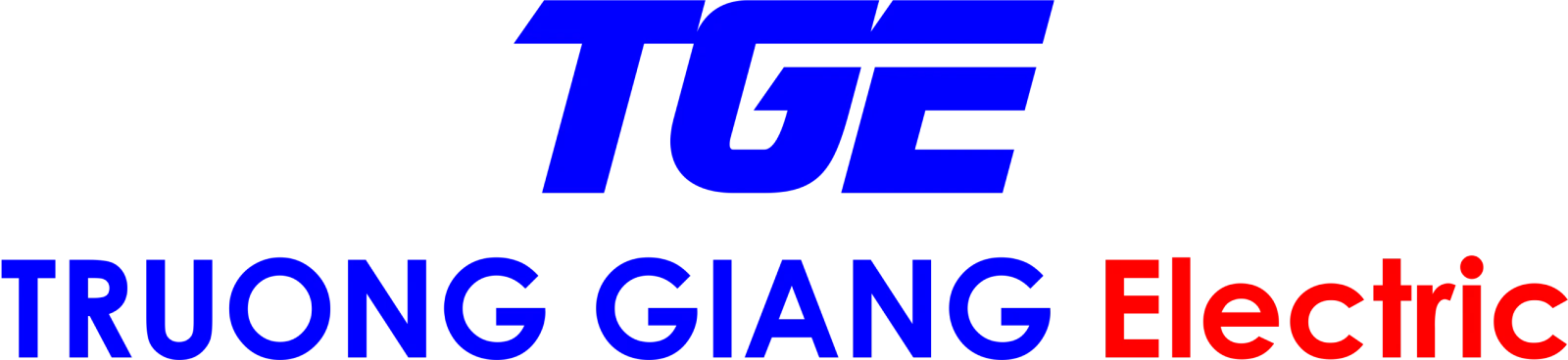 **TGE - Leading Switchgear Manufacturer Vietnam	International Type Tested**